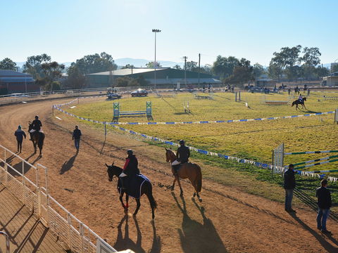 Gunnedah Showjumping Festival - Accommodation Perth 2