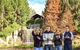 Hunter Valley Gardens Virtual Treasure Trail - thumb 1