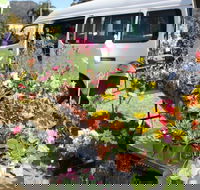 Johns River Country Markets - Accommodation Perth