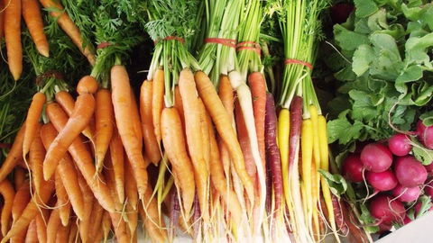 Joondalup Growers Market - Accommodation Perth 0