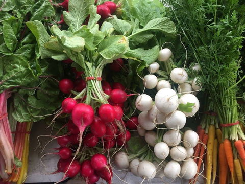 Joondalup Growers Market - Accommodation Perth 1