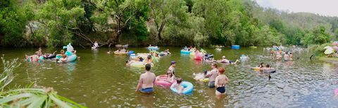 Jungle Love Festival - Accommodation Perth 1