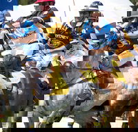 Land Rover Polo in the City Brisbane - Accommodation Perth