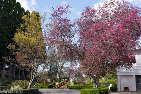 Leura Gardens Festival - Cancelled - Accommodation Perth 0