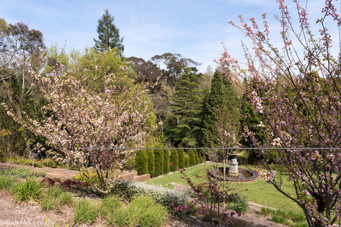 Leura Gardens Festival - Cancelled - Accommodation Perth 2