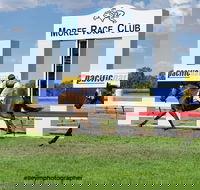 Moree Race Club TAB Race Day - Accommodation Perth