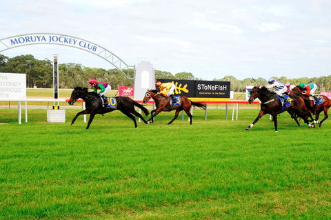 Moruya Cup - Accommodation Perth 2