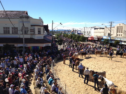 NCMC Casino Beef Week - Accommodation Perth 0