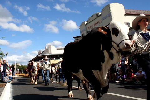 NCMC Casino Beef Week - Accommodation Perth 1