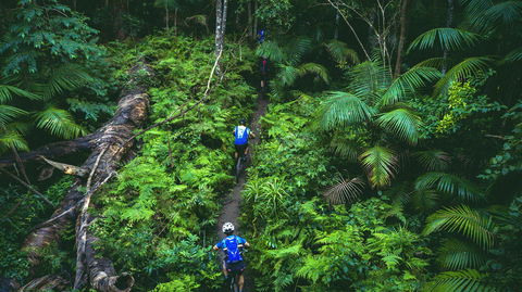 Reef To Reef - Perth Resorts 7