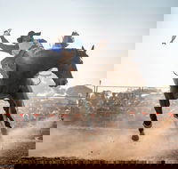 Rodeo by the Sea - Streaky Bay - Accommodation Perth