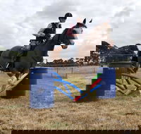 Rouse Roundup - Accommodation Perth