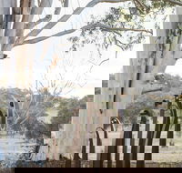 Sculptures in the Garden - Perth Resorts