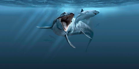 Sea Monsters - Prehistoric Ocean Predators - Accommodation Perth 0