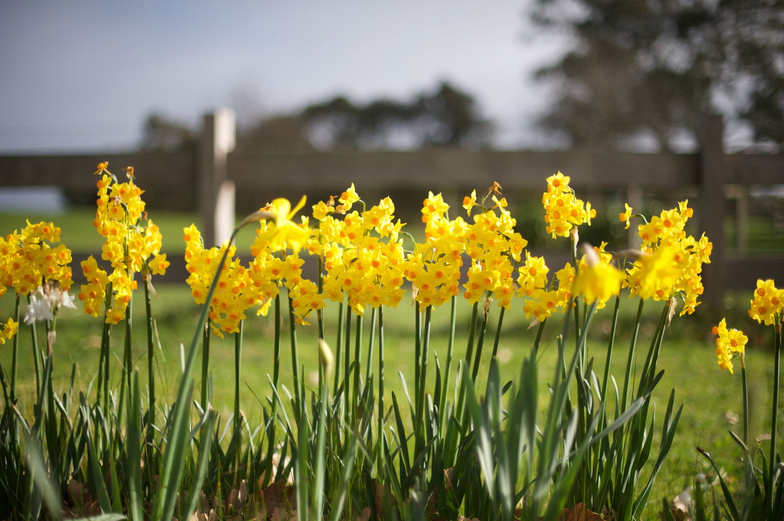 Langwarrin VIC Accommodation Perth