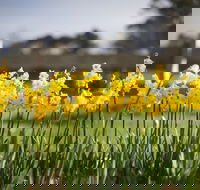 Sunday at Cruden Farm - Accommodation Perth