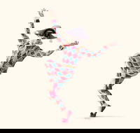 The Australian Ballet presents Harlequinade - Accommodation Perth
