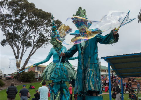 Tulip Festival Wynyard - Accommodation Perth 0