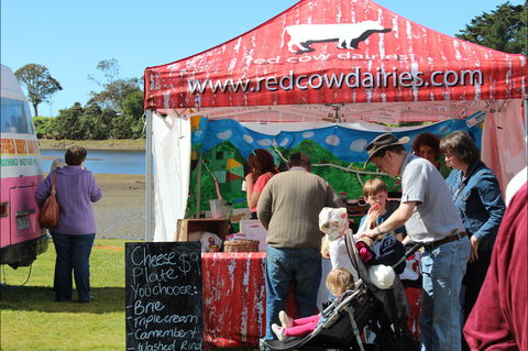 Tulip Festival Wynyard - Accommodation Perth 1
