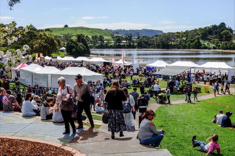 Tulip Festival Wynyard - Accommodation Perth 2
