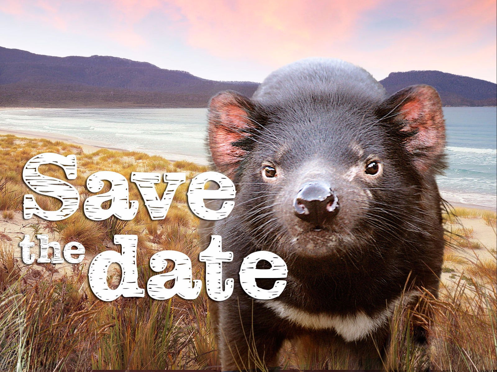 Pawtella TAS Accommodation Perth