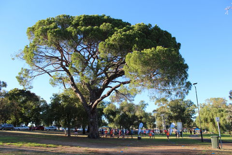 Wagga Parkrun - Accommodation Perth 1