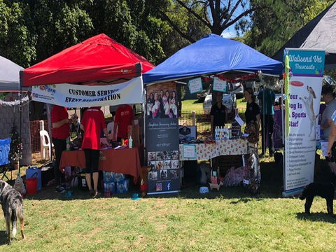 Dogs In The Park NSW Orange - Accommodation Perth 1