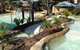 Blue Dolphin Holiday Resort - thumb 4
