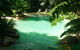 Ferntree Rainforest Lodge - thumb 3