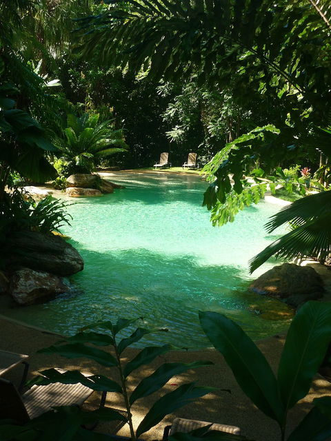 Ferntree Rainforest Lodge - Accommodation Perth 3
