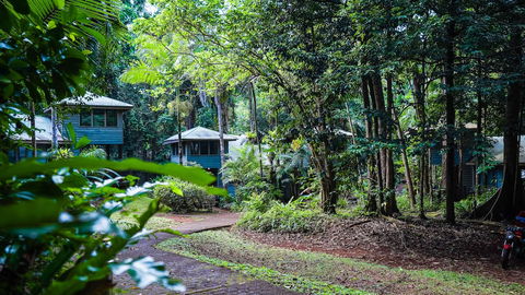 Ferntree Rainforest Lodge - Accommodation Perth 0