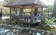 Royal Palm Resort - thumb 5