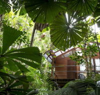 Daintree Wilderness Lodge - Perth Resorts