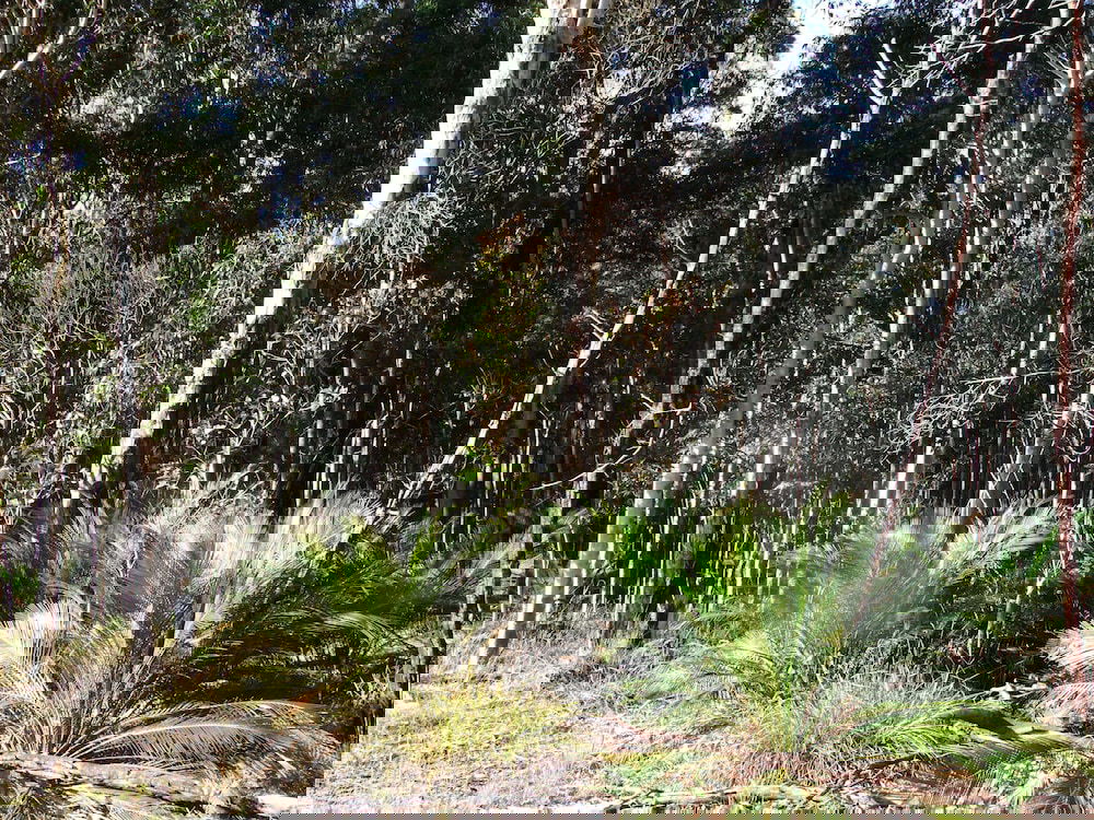 Meringo NSW Perth Resorts