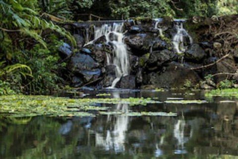 Kondalilla Eco Resort - Accommodation Perth 0