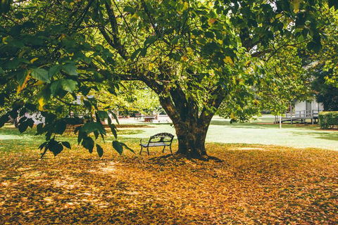 Federation Gardens & Possums Hideaway - Perth Resorts 6