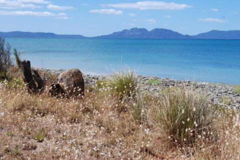 Schouten House - Accommodation Perth 1