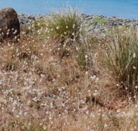 Schouten House - Accommodation Perth