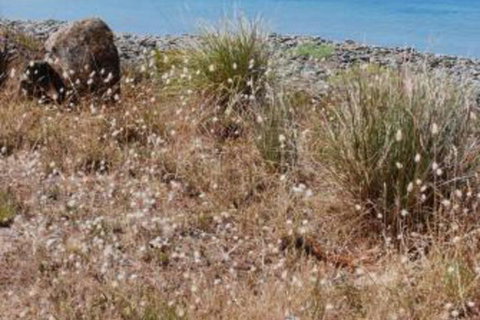 Schouten House - Accommodation Perth 0