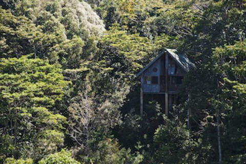 Rose Gums Wilderness Retreat - Accommodation Perth 0