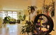 Riverside Holiday Apartments Ballina - thumb 6