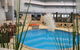 Best Western Plus Hotel Lord Forrest - thumb 1