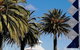 Banjo Paterson Motor Inn - thumb 2