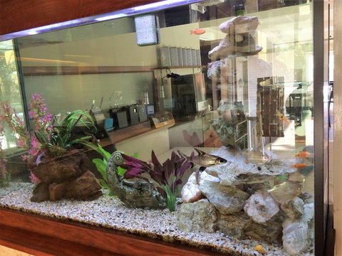 Hospitality Geraldton, SureStay Collection By Best Western - Perth Resorts 6