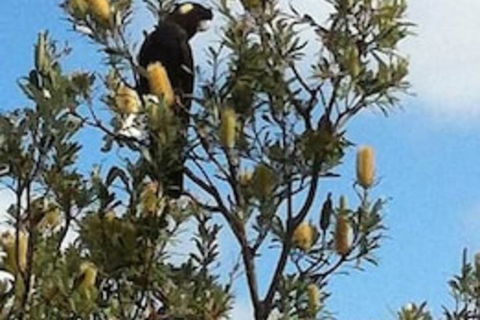 Lake Illawarra B&B - Accommodation Perth 1