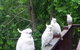 Bluebell Cottage - thumb 5