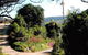 Top Of The Hill - thumb 3