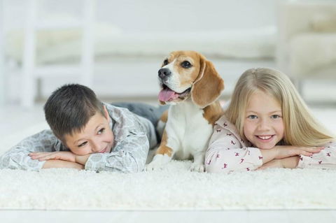 BOUTIQUE STAYS - Central Park - Accommodation Perth 3