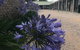 Lake Albert Motel - thumb 6