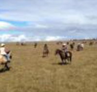 Susan River Homestead - Accommodation Perth